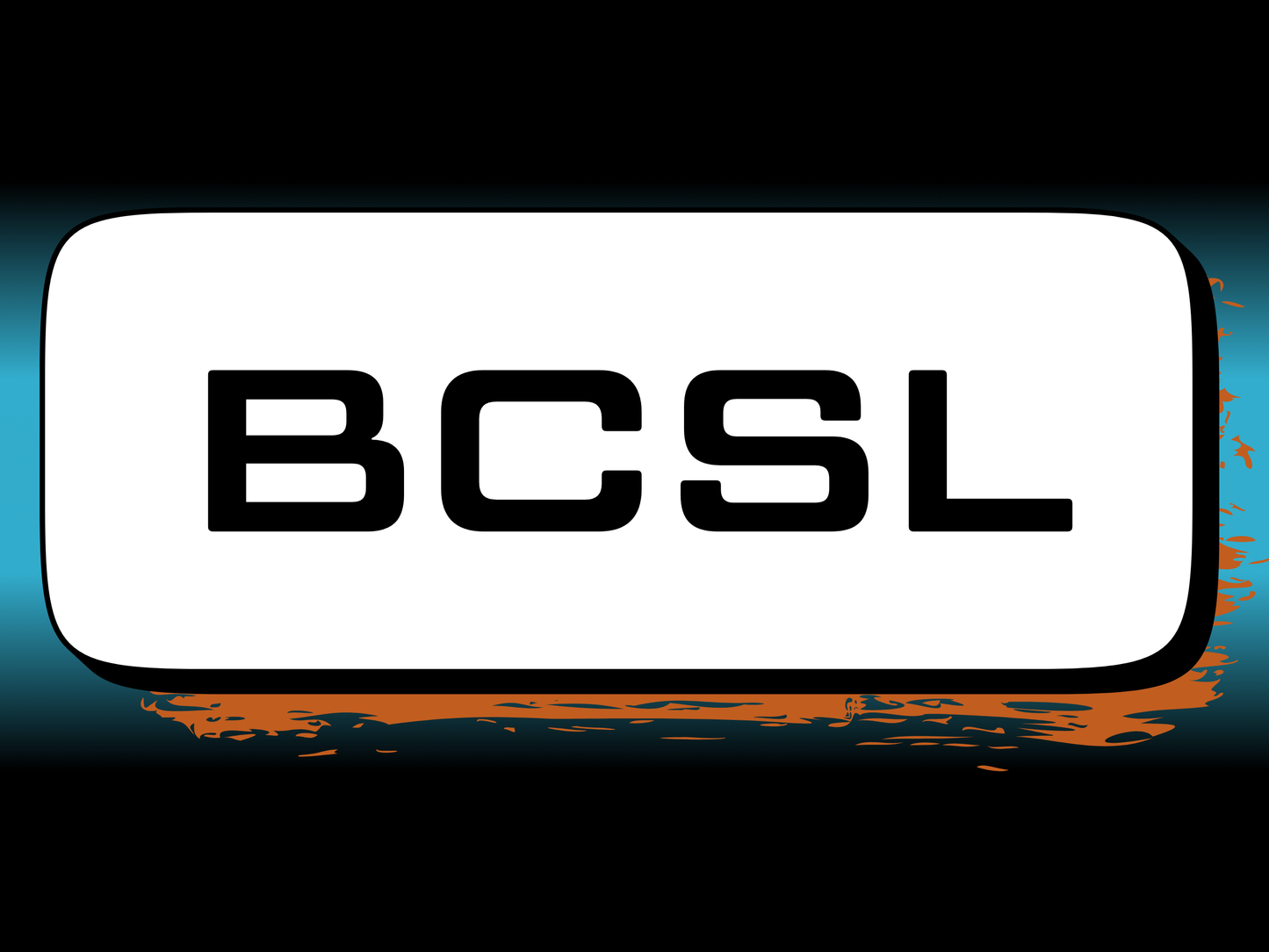 Board-Certification. Strategic Leadership